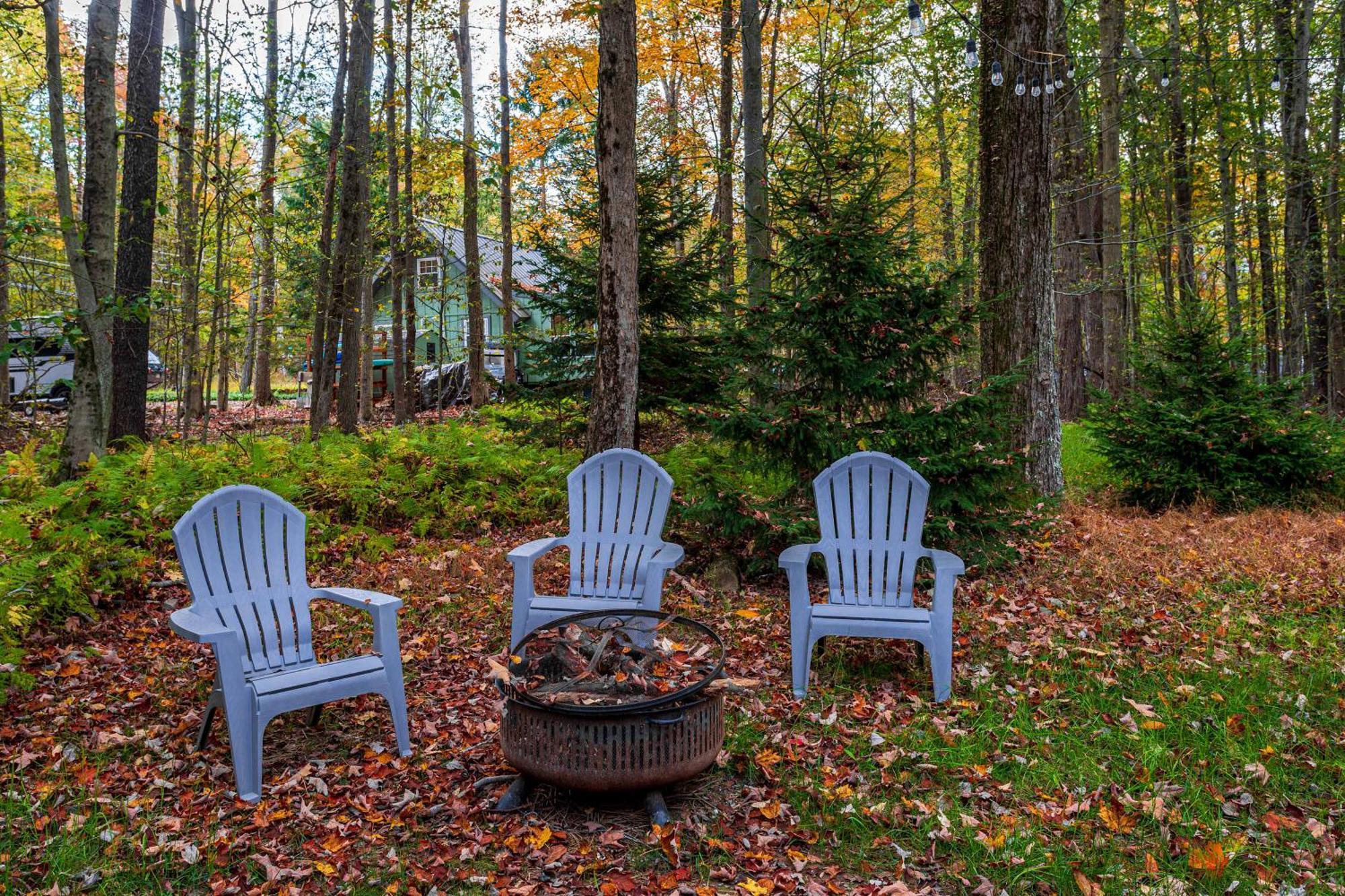 Hot Tub Fire Pit Dog Friendly